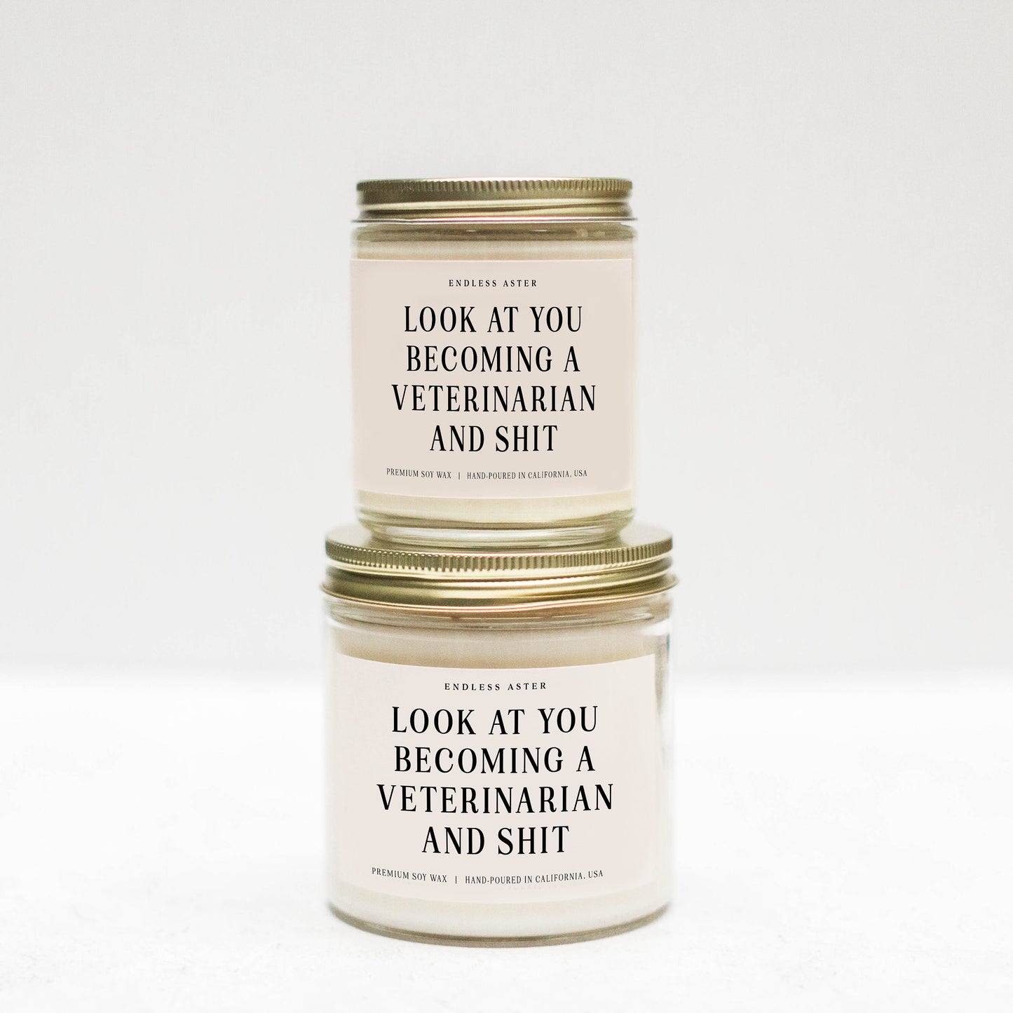 Look At You Becoming A VETERINARIAN Gift Box, Funny Vet Student Graduation Gift, Future Veterinarian Candle Gift for Vet Doctor
